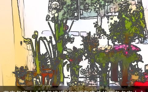 花店名字大全唯美浪漫2023霸气唯美的店名名字大全