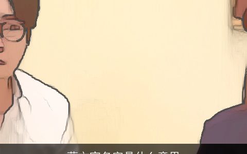 蔺文宣名字是什么意思