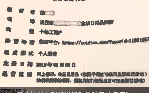 营业执照办理可以修改最唯美的名字吗