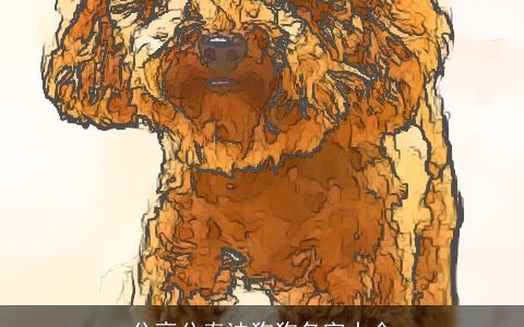 分享公泰迪狗狗名字大全