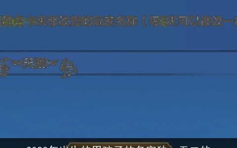 2023年出生的男孩子的名字独一无二的