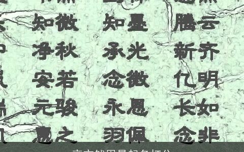 雍亦然周易起名打分