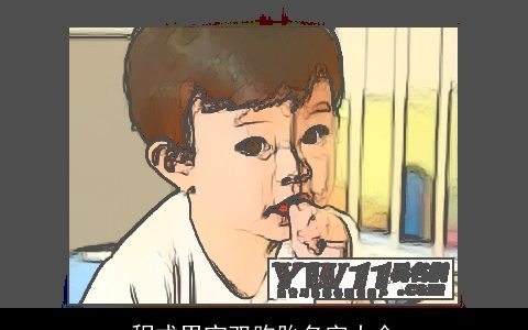 程式男宝双胞胎名字大全