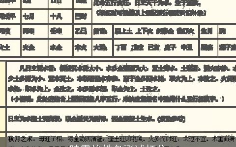 陆雯怡姓名测试打分