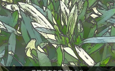 黄篮葶查名字打多少分