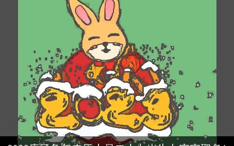 2023庚子兔年农历十月二十九出生女宝宝取名1