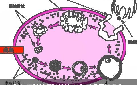 降生在2023年2月20日的孩子名字精选版