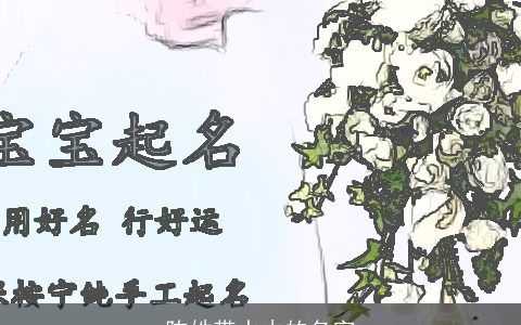 陈姓带水木的名字