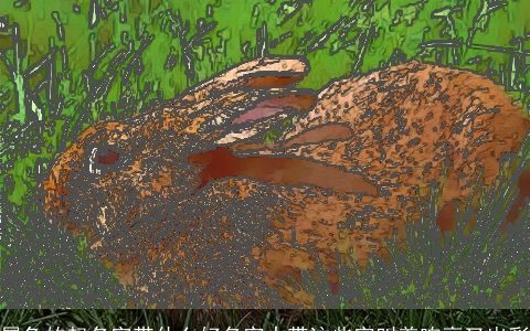 属兔的起名字带什么好名字中带这些字叫着响亮又出彩