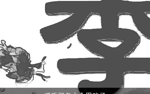 盛氏取名大全男孩子