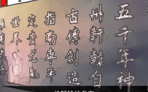 姓轩辕的名字