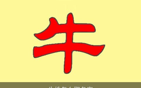 牛姓怎么取名字