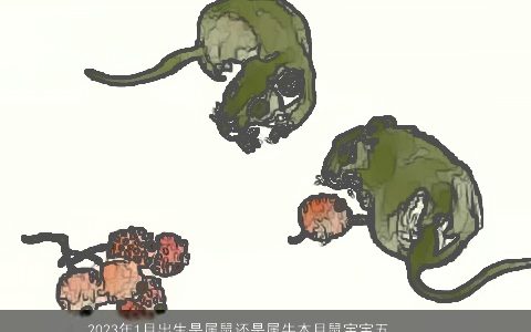 2023年1月出生是属鼠还是属牛本月鼠宝宝五行取名大全技巧鼠新颖有涵养的鼠牛鼠宝宝名字大全