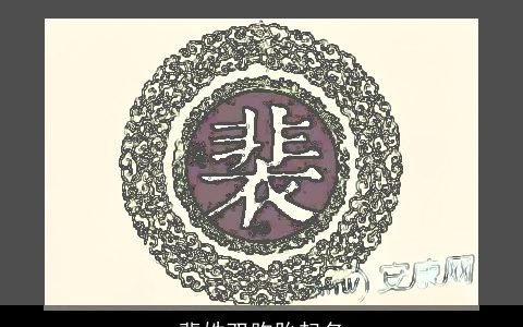 裴姓双胞胎起名