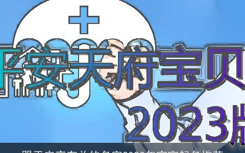 跟平安夜有关的名字2023年宝宝起名推荐