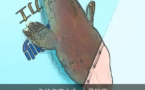 鱼的名字大全 古灵精怪