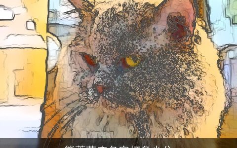 熊蕹菽查名字打多少分