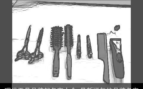 理发工具品牌起名字大全_最新洋气的品牌名字