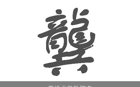 龚姓龙凤胎取名