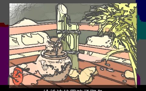 给姓沈的男孩子取名