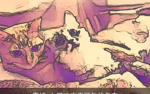 震惊 女猫咪高贵洋气的名字