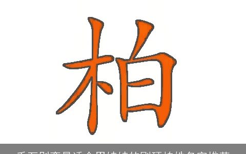 千万别弯最适合男娃娃的刚硬柏姓名字推荐