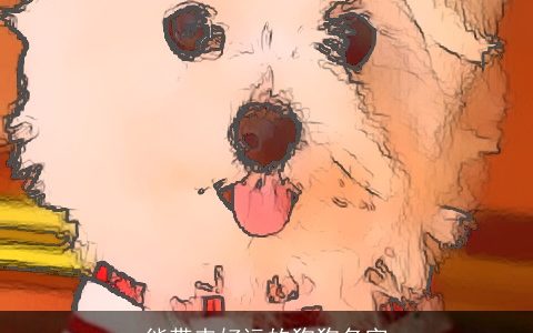 能带来好运的狗狗名字