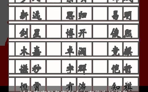 给兔宝宝起名字起个大有作为的好名