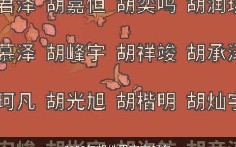 2023年胡姓男宝宝起名