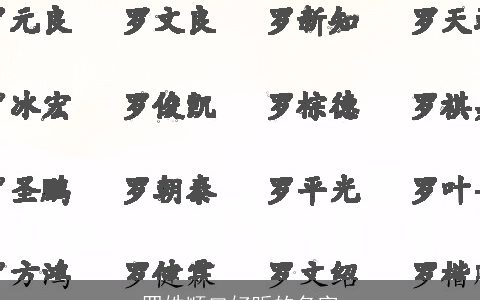 罗姓顺口好听的名字