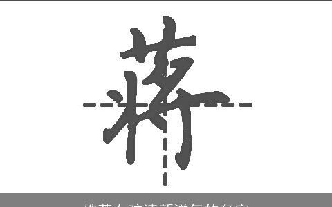 姓蒋女孩清新洋气的名字