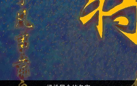 梁姓属金的名字