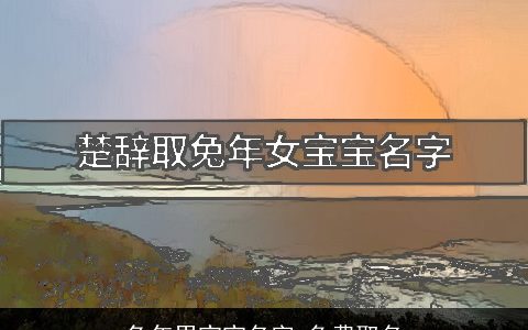 兔年男宝宝名字 免费取名