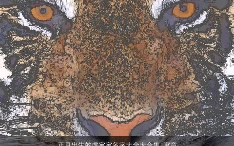 正月出生的虎宝宝名字大全大合集 寓意很吉利 寓意吉利的虎宝宝名字大全推荐