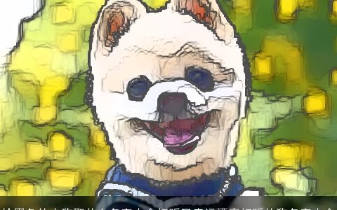 给黑色的小狗取什么名字大全好听又幸运漂亮好听的狗名字大全