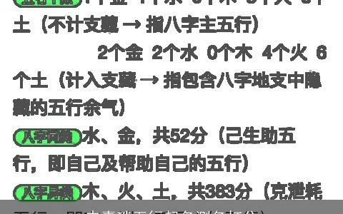 申嘉琰五行起名测名打分