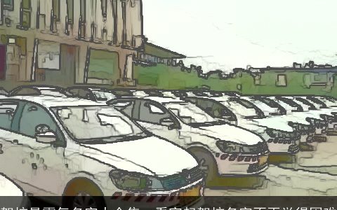 驾校最霸气名字大全集  看完起驾校名字不再觉得困难