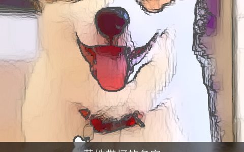 黄姓带柯的名字