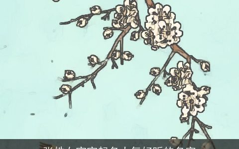 张姓女宝宝起名大气好听的名字