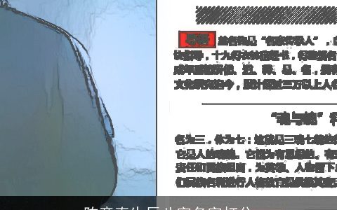 陈意真生辰八字名字打分