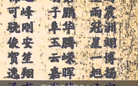 男孩子王字取名大全