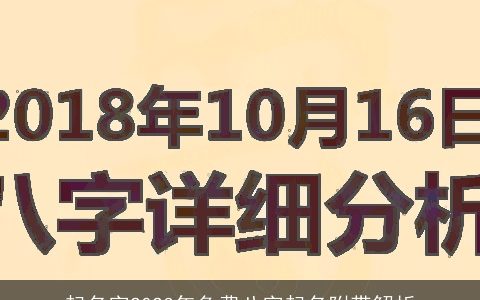 起名字2024年免费八字起名附带解析
