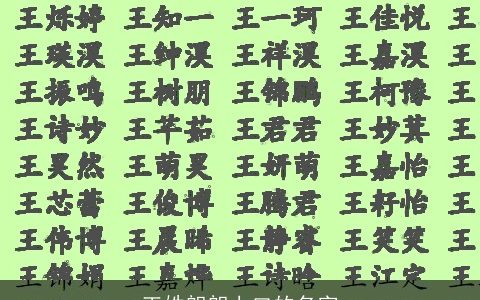 王姓朗朗上口的名字