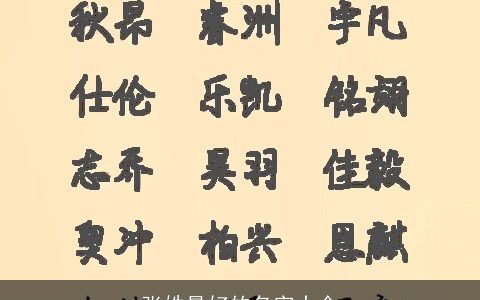 张姓最好的名字大全