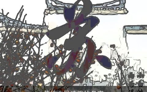 黄姓古风清雅的名字