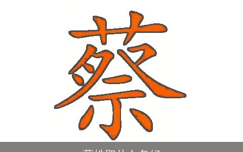 蔡姓取什么名好