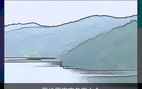 蔡姓男宝宝名字大全