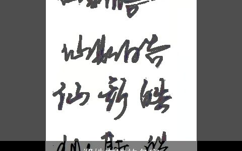 郑姓有皓的名字