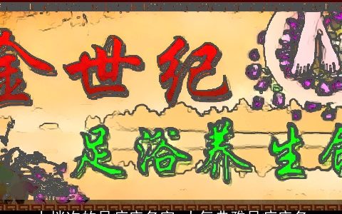 上档次的足疗店名字 大气典雅足疗店名