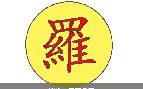 罗姓男宝宝名字